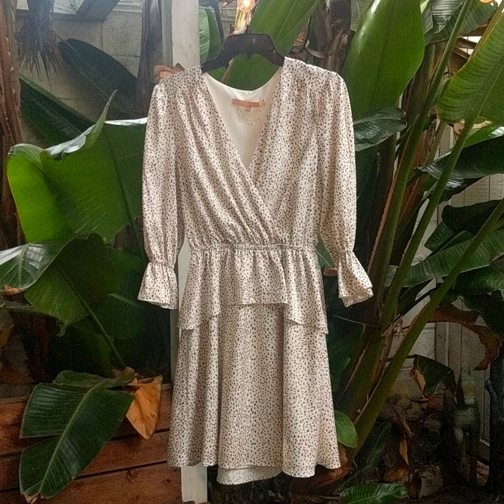 Hutch  Printed Ruffle Day Dress